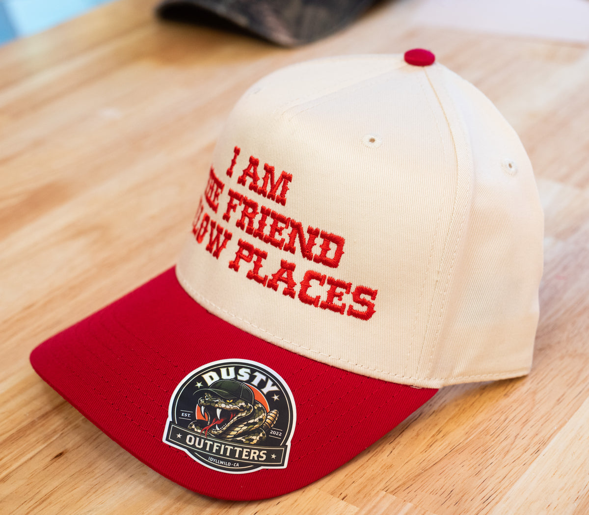 I AM THE FRIEND IN LOW PLACES Embroidered Trucker Hat (Copy)